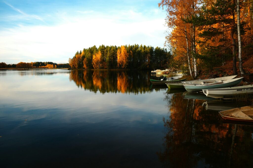 four boats docked near land surrounded by trees